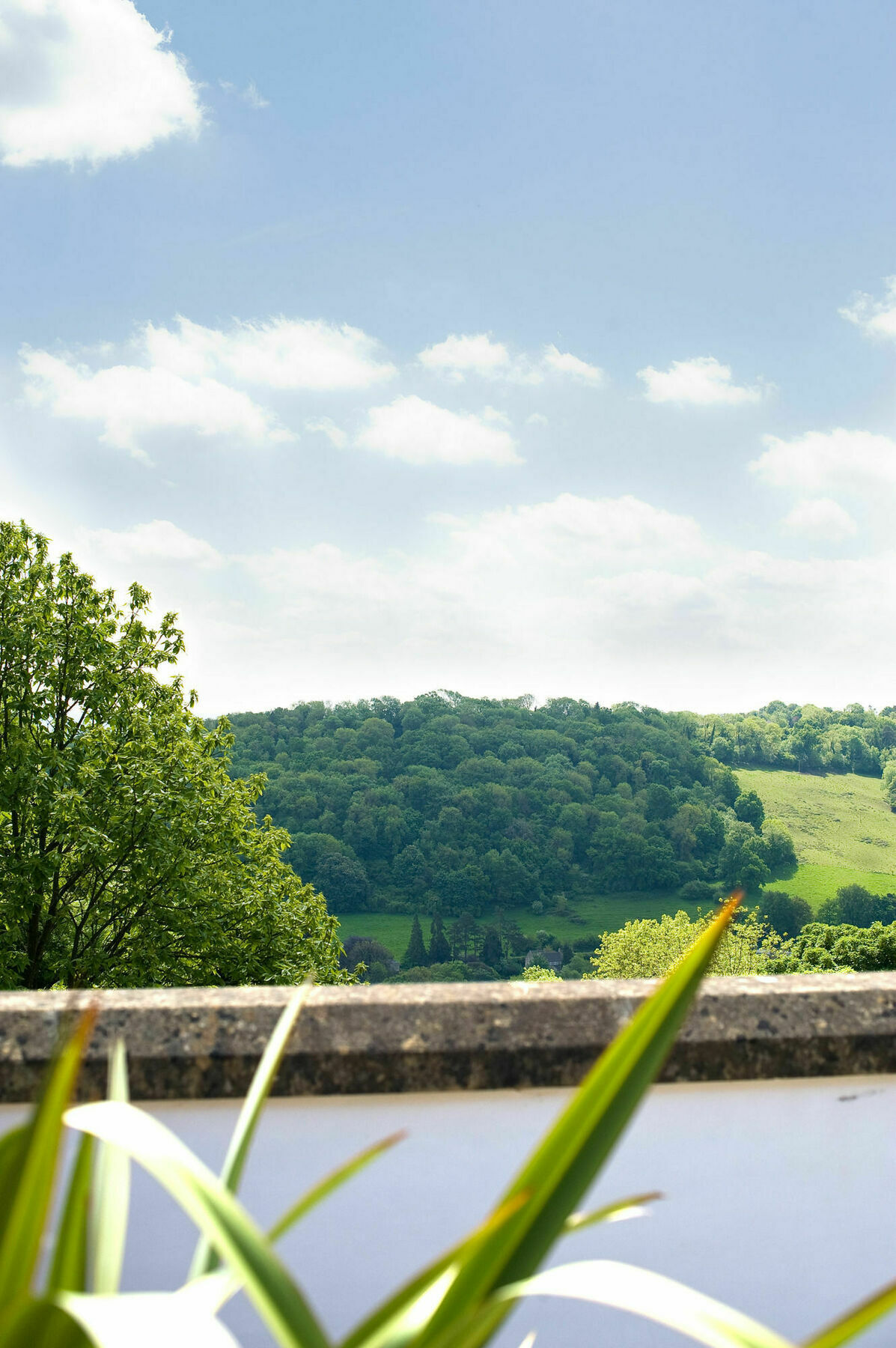 Limpley Stoke Combe Grove Hotel מראה חיצוני תמונה